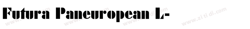Futura Paneuropean L字体转换